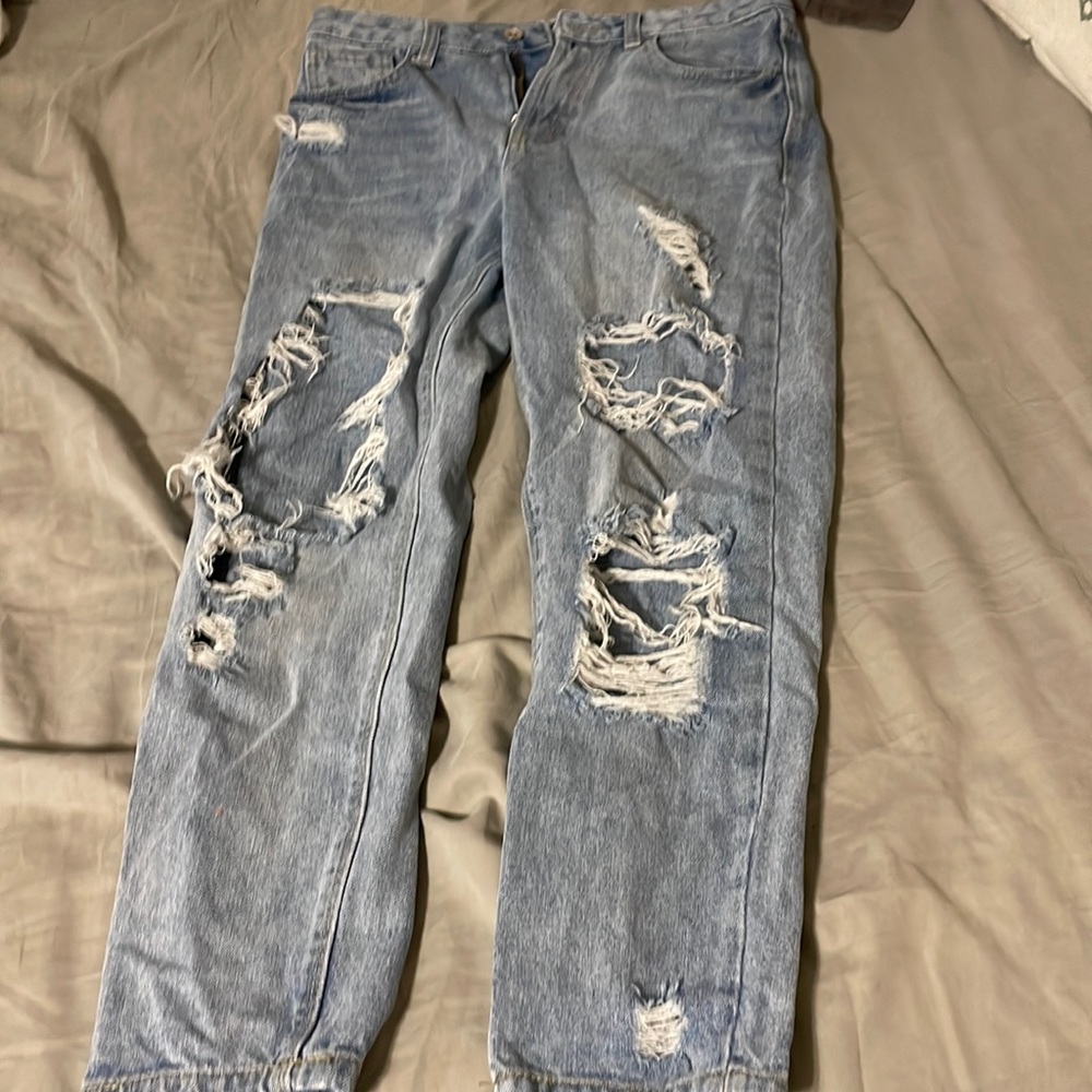 Skinny Fries Denim Mom Jeans